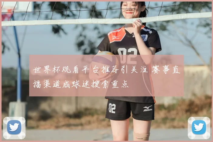 世界杯观看平台推荐引关注 赛事直播渠道成球迷搜索重点
