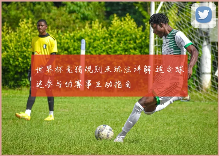 世界杯竞猜规则及玩法详解 适合球迷参与的赛事互动指南