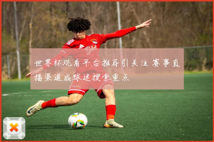 世界杯观看平台推荐引关注 赛事直播渠道成球迷搜索重点