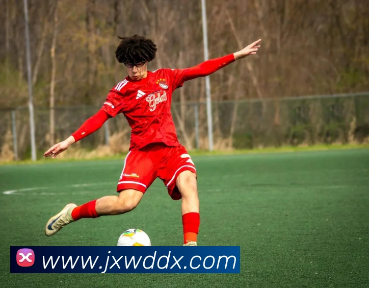 hth体育官网登录入口网址品牌故事