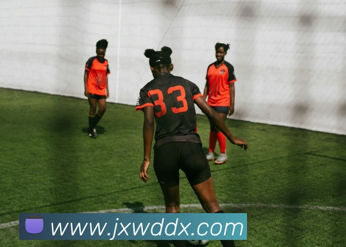 hth体育官网登录入口网址服务体系